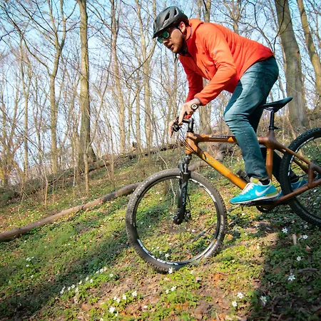 Hotel Seehotel Heidehof Klein Nemerow