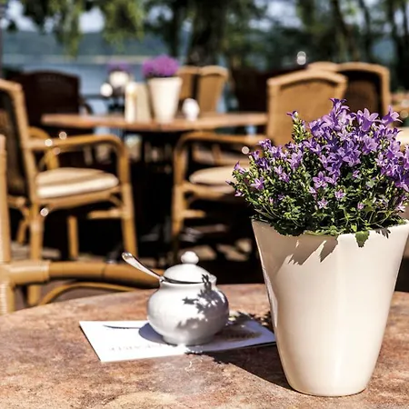 Отель Seehotel Heidehof Klein Nemerow